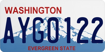 WA license plate AYG0122