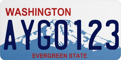 WA license plate AYG0123