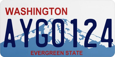 WA license plate AYG0124