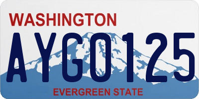 WA license plate AYG0125