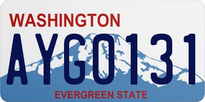 WA license plate AYG0131