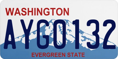 WA license plate AYG0132