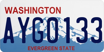 WA license plate AYG0133