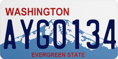 WA license plate AYG0134