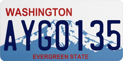 WA license plate AYG0135