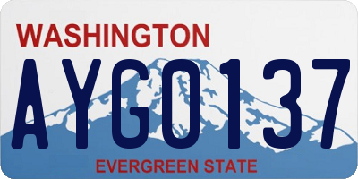 WA license plate AYG0137