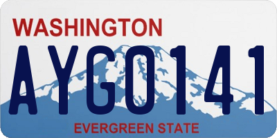 WA license plate AYG0141