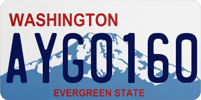 WA license plate AYG0160