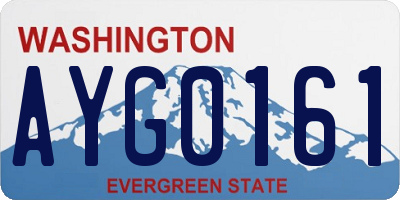 WA license plate AYG0161