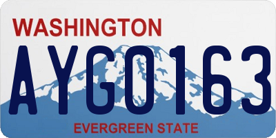 WA license plate AYG0163