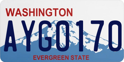 WA license plate AYG0170