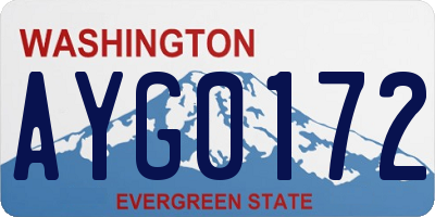 WA license plate AYG0172