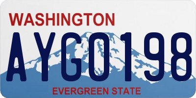 WA license plate AYG0198