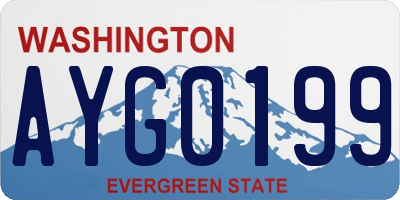 WA license plate AYG0199