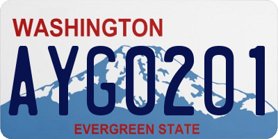 WA license plate AYG0201