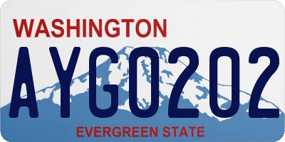 WA license plate AYG0202
