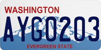 WA license plate AYG0203