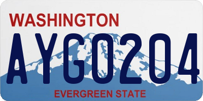 WA license plate AYG0204