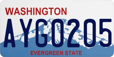 WA license plate AYG0205
