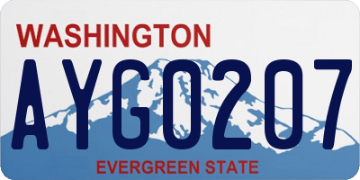 WA license plate AYG0207