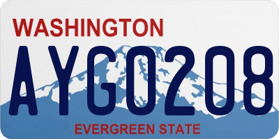 WA license plate AYG0208