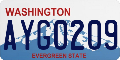 WA license plate AYG0209