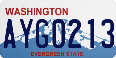 WA license plate AYG0213