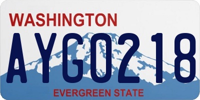 WA license plate AYG0218