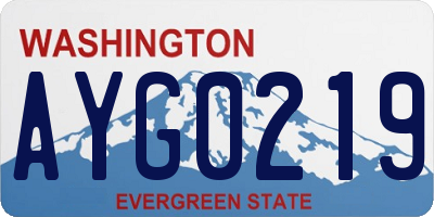 WA license plate AYG0219