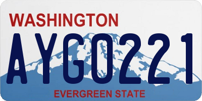 WA license plate AYG0221