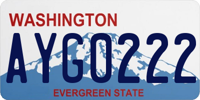 WA license plate AYG0222