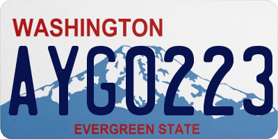 WA license plate AYG0223