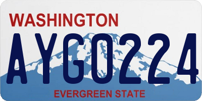 WA license plate AYG0224
