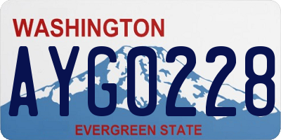WA license plate AYG0228