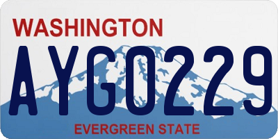 WA license plate AYG0229