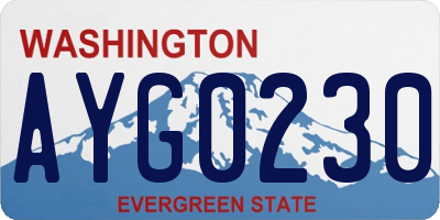 WA license plate AYG0230