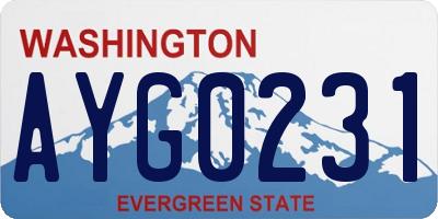WA license plate AYG0231