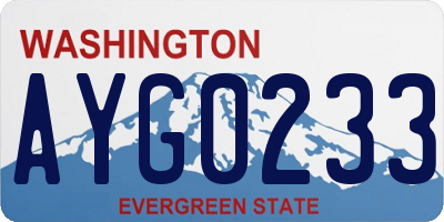 WA license plate AYG0233