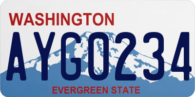 WA license plate AYG0234