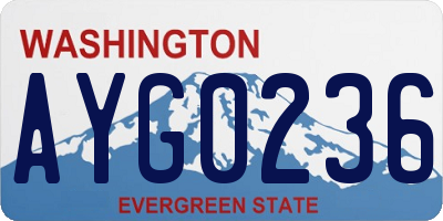 WA license plate AYG0236