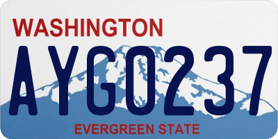 WA license plate AYG0237