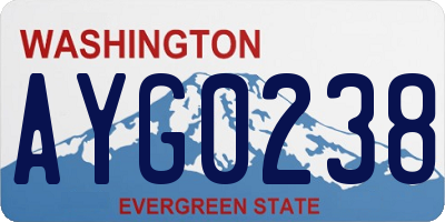 WA license plate AYG0238