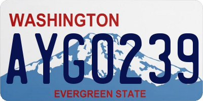 WA license plate AYG0239