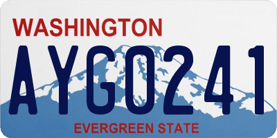 WA license plate AYG0241