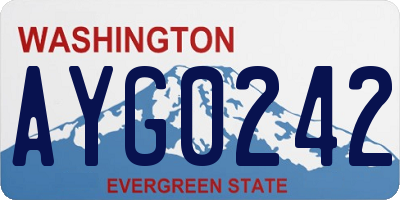 WA license plate AYG0242