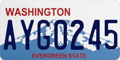 WA license plate AYG0245