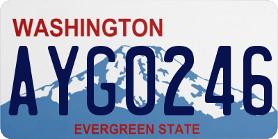 WA license plate AYG0246