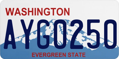 WA license plate AYG0250
