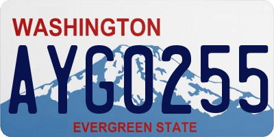 WA license plate AYG0255