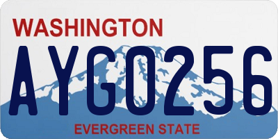 WA license plate AYG0256